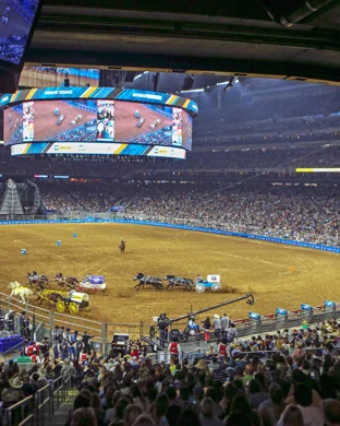Ultimate Bullfighters
